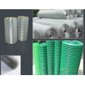 Alta qualidade galvanizado soldado Wire Mesh (soldado)